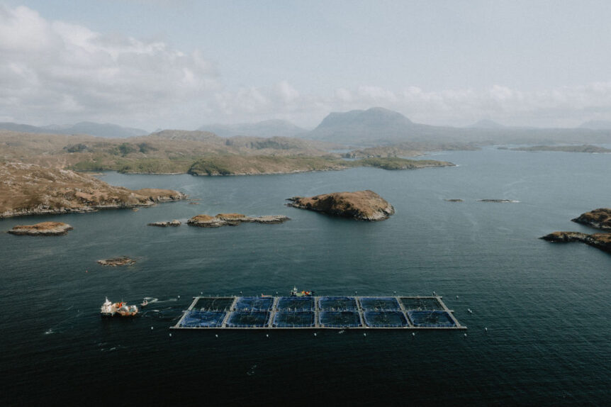 Aerial view of fish farm