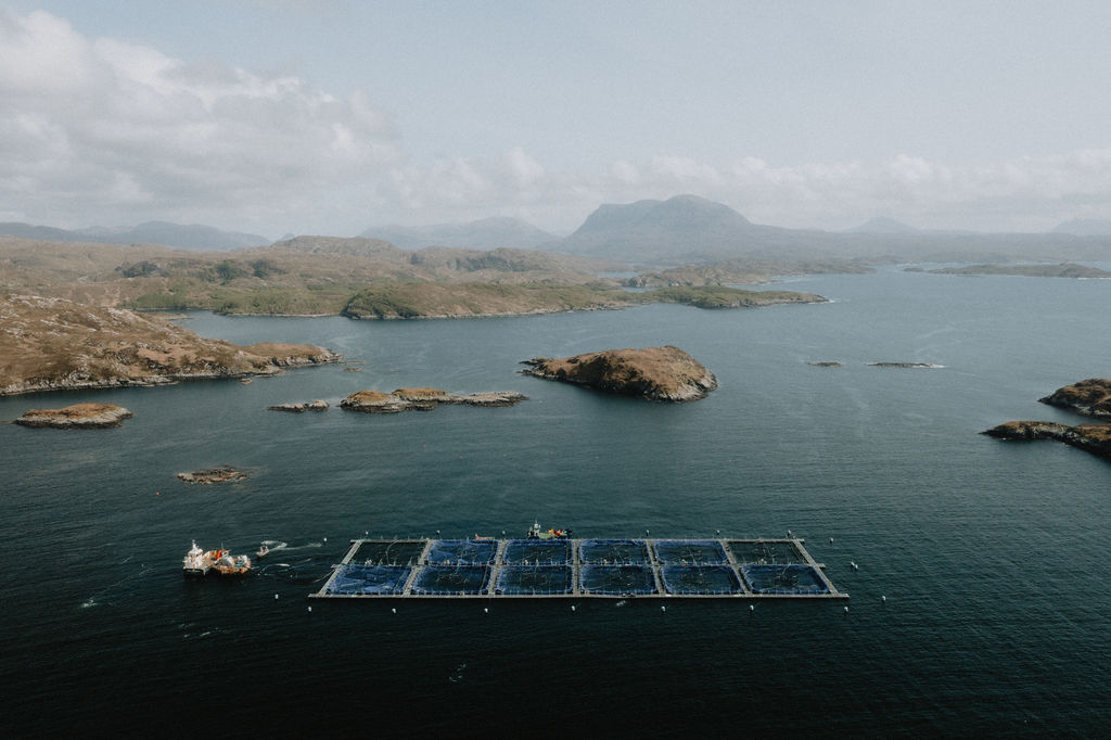 Aerial view of fish farm